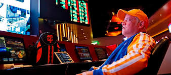 Как войти на сайт Pelican Casino